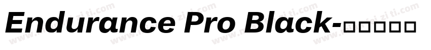 Endurance Pro Black字体转换